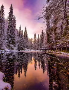 Lorenzo Mirandola, sunset tree reflection lapland