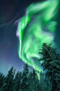 Luisa Schaffner, Aurora explosion