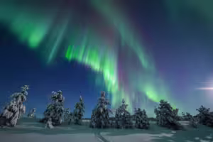 Luisa Schaffner Aurora in winter scenery Lapland finland