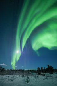 Glittery snow by Luisa Schaffner