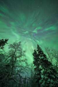 Pulsating Aurora in the snow by Luisa
