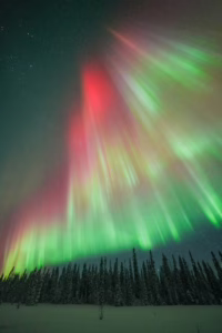red aurora expansion, Luisa schaffner