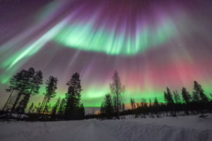 Luisa Schaffner - Winder roads in Lapland