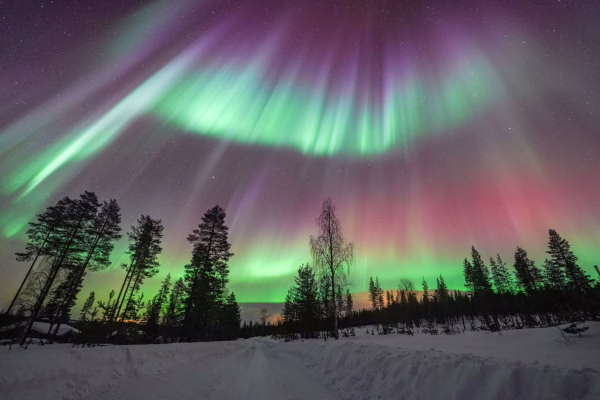 Luisa Schaffner - Winder roads in Lapland