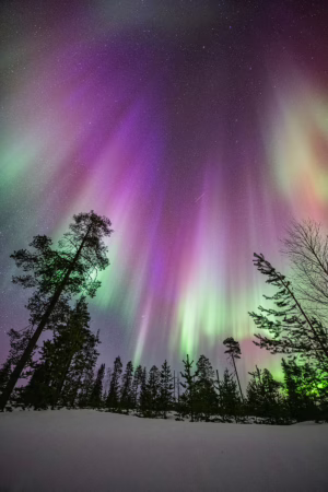 Lorenzo Mirandola - Purple Aurora