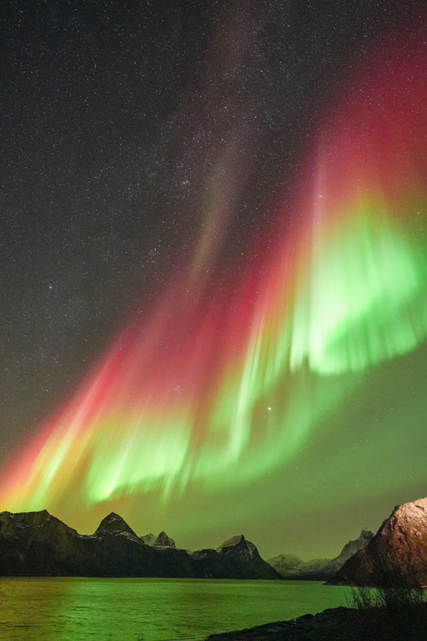 Luisa Schaffner- Red aurora in the fjords of Senja norway