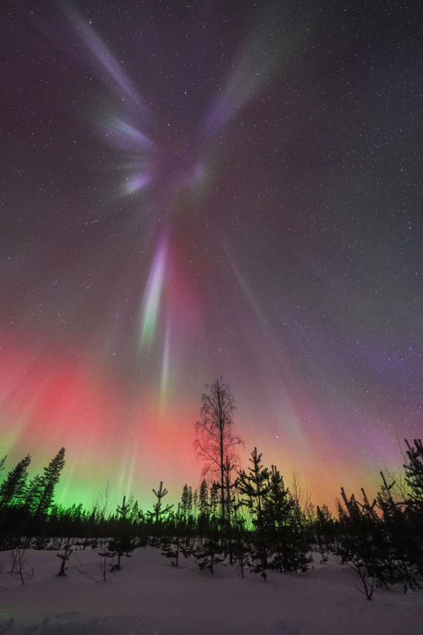 Luisa Schaffner - Ready for the substorm